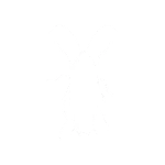 control de insectos rastreros en Quito – cucarachas y hormigas