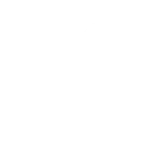 control de insectos rastreros en Quito – cucarachas y hormigas