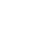 Control de insectos voladores en Quito – moscas y mosquitos