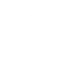 Control de roedores en Quito – eliminación de ratas y ratones